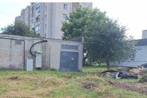 За захаращеність території директор підприємства у Луцьку сплатить штраф