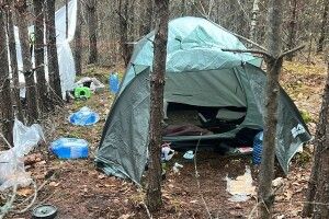 Поцупив 13 мільйонів: правоохоронець-втікач облаштував собі схованку у лісах Рівненщини