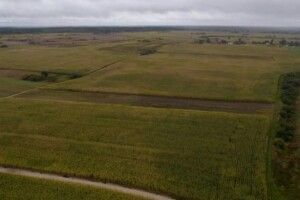 З 2023 року власників землі зобов'яжуть платити 1400 гривень податку з кожного гектара