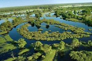 Річка Прип’ять матиме басейнову раду