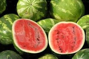 В Україні стартував сезон кавунів