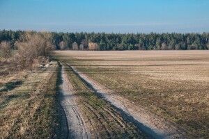 На Рівненщині в лісі знайшли мертвою жінку, яку шукали кілька днів