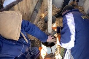 «Володимирводоканал» повідомив,чи вдалося ліквідувати аварійні ситуації на водонапірних вежах 