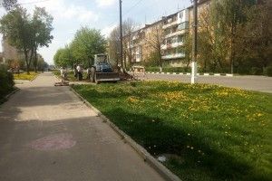 У Здолбунові взялися боротися із «вічнозеленим газоном»