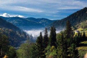 На Закарпатті загинули батько та син – їхній джип зірвався у провалля