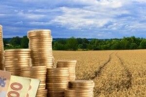 Стало відомо, скільки мільйонів сплачено до бюджету Луцька за землю