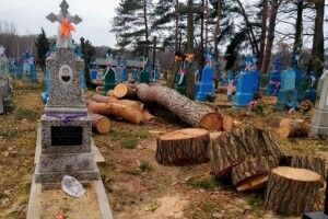 На сільському кладовищі на Волині ріжуть дерева