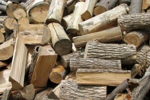 На Волині селянин продавав неіснуючі дрова, видаючи себе за лісівника
