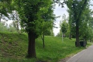 Луцьк озеленять за 120 мільйонів