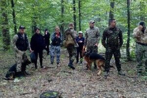 Шукають кілька днів: на Рівненщині у лісі зник дідусь