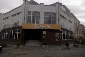 Засудили грабіжника, який вкрав у лучанина біля «Базиліка» сумку з грішми