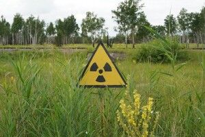 На Волині створено комісію для підтвердження проживання у Чорнобильській зоні