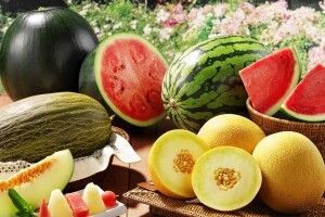 На Херсонщині визначили цьогорічних рекордсменів – гарбуза, диню та кавуна