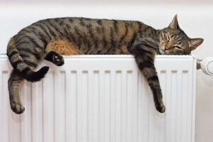 Коли в Луцьку розпочнеться опалювальний сезон