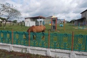 На території смідинського дитсадка пасуть коней та розпивають спиртне