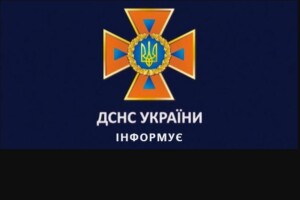 Ох і не нелегка була для волинських рятувальників робота – тягнути... коня із вигрібної ями (Фото)