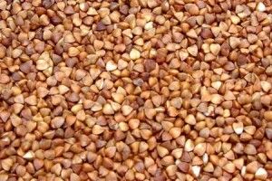 Україна суттєво скоротила виробництво гречки 