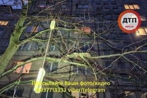«Тому що любила!»: жінка викинула маленьку дитину з 8-го поверху (Фото, відео)  