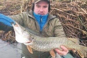 Волинянин відпустив першу спійману цьогоріч щуку, аби весною стала мамою (Відео)