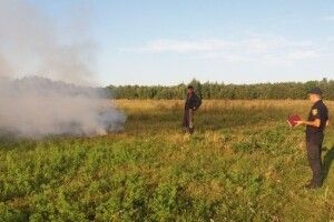 На Волині рятувальники рейдують у пошуках паліїв бадилля