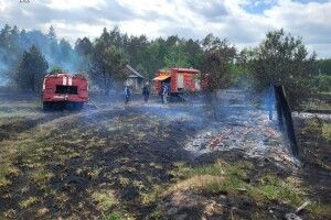 На Волинському Поліссі підпалили траву, а загорілася хата