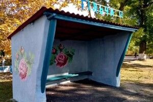 Не одягом єдиним. На Рівненщині у вишиванку «одягають» школи, зупинки та будинки