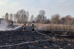 Вогонь ледь не перекинувся на будинки: волинські рятувальники годинами гасили пожежі