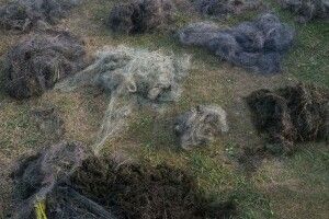 У заказнику на Волині вилучили більше 2000 метрів браконьєрських сіток