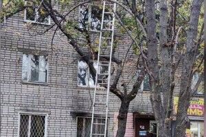 Бійцям ДСНС довелося рятувати вагітну багатодітну даму, яка видерлася на вершечок височезного дерева (Фото)