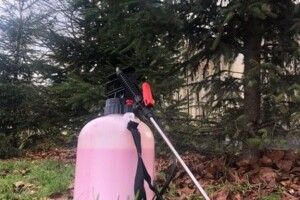 На Львівщині придумали, як віднадити злодіїв від ялинок