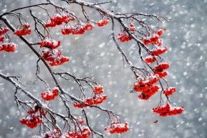 Якою буде погода на Волині