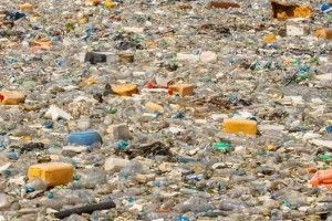 Дослідники з'ясували, з чого складається велика сміттєва пляма в Тихому океані