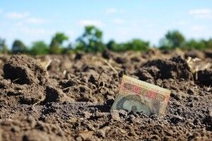 Волиняни сплатили до бюджетів громад 185 мільйонів гривень плати за землю