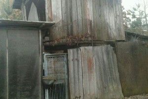До кого у Луцьку прийдуть муніципали, щоб розвалити «самобуди»