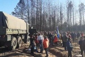 Замість згарища буде Львівський гай – на Луганщині партійці «Євросолідарності» і волонтери висадили понад 10 тисяч дерев