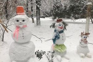 Сімейка сніговиків неабияк потішила волинян (фото)