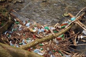 Любешівські екологи наводять чистоту в місцях масового відпочинку