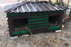 У Луцьку справили новосілля на Собачій вулиці (фото)
