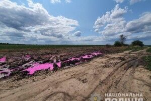 Рожеві калюжі під Рівним: поліція відкрила кримінал 