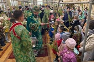 У кафедральному соборі Луцька вербові гілки найперше освятили дітям