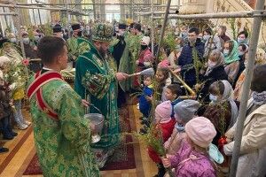 У луцькому Соборі Святої Трійці першими вербу освятили дітям (Фото)