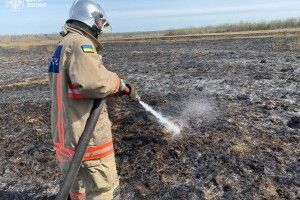 На Волині вдалось за дві години загасити пожежу торфу