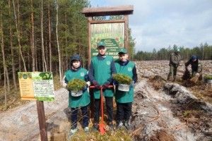 На Любомльщині майбутній ліс шумітиме   у пам`ять про загиблих воїнів
