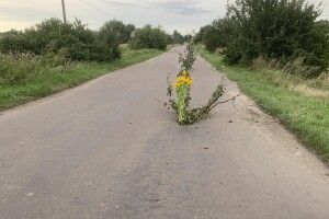 На Волині на дорозі місцевого значення утворилася велика вибоїна