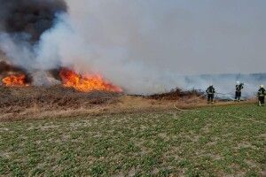 Знайшли винуватця великої пожежі у Луцькому районі