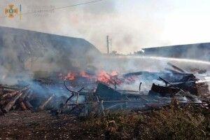 Діти випадково спалили два будинки і авто (Фото)