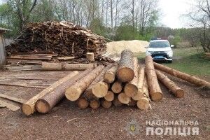 У Ковелі поліція розслідує факт незаконного зберігання лісу (Фото)