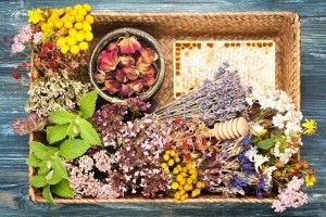 Кабмін вступив за те, аби мольфари та ворожки не ходили у МОЗ за дозволами