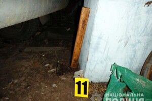На Рівненщині 63-річний чоловік обухом сокири мало не забив свою 65-літню співмешканку (Фото)