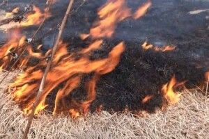 За спалювання стерні волинянин заплатить 3 тисячі гривень 